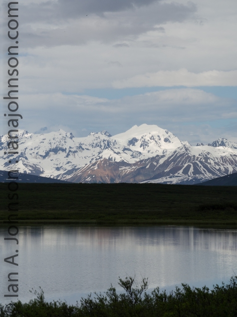 The scenery of the south side of the Alaskan Range is never ending! Snow capped mountains are reflected in the waters and cut the horizon to the north at all times.