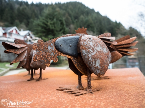 These iron chickens caught my eye as I walked through the streets of Juneau. 