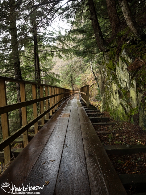 High up in the hillsides of Juneau, the Perseverance Basin boardwalk and trail offer beautiful view of Junea. 