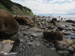 As the tide goes out, large boulders hold water and sea creatures - tide pool!